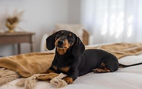 Crackers - Pet Friendly, Jetty Location, Walk To Restaurants